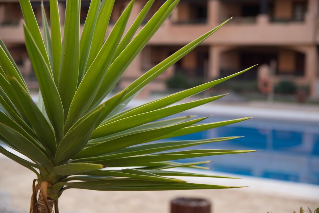 Apartamentos Turisticos Spiritmar Almerimar Dış mekan fotoğraf